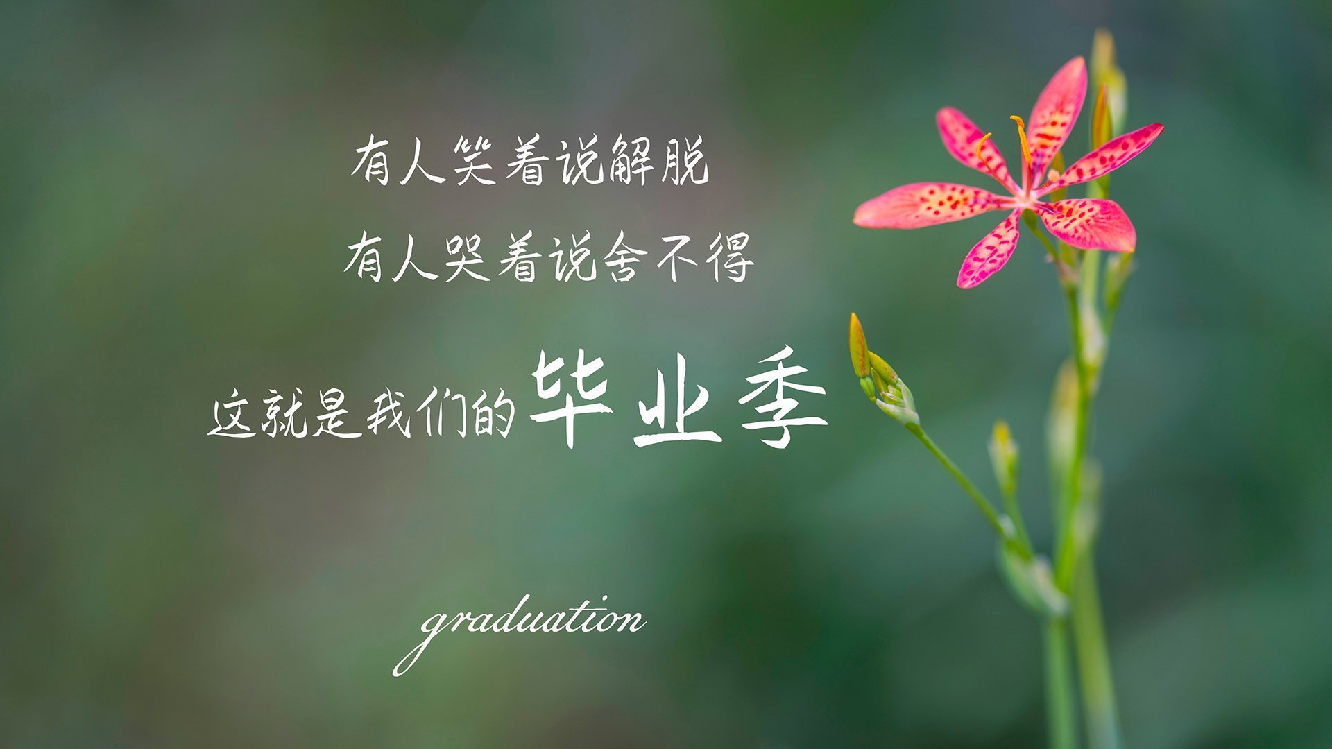 穿越火线 赛季末战队表现抢眼，cf赛季