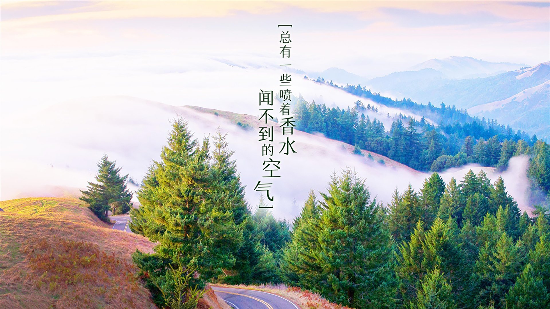 赛季回顾：那些令人难忘的冠军时刻，赛季冠军点数有什么用